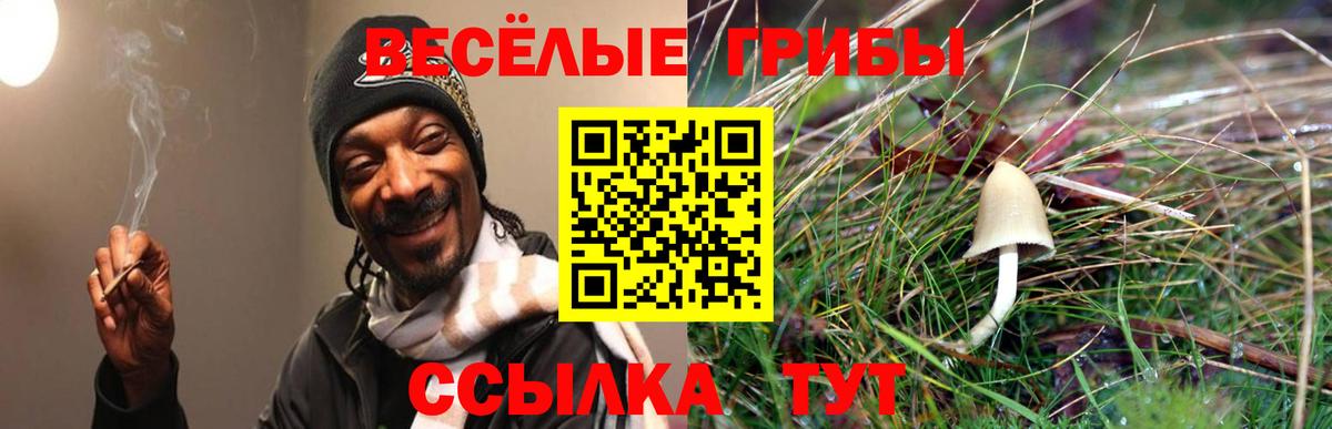 Псилоцибиновые грибы мицелий Нижнекамск