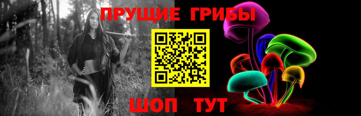 Нижнекамск  Псилоцибиновые грибы мухоморы  Вход с VPN 